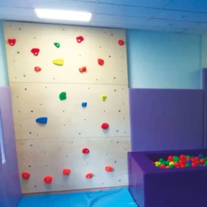 SI Climbing Wall