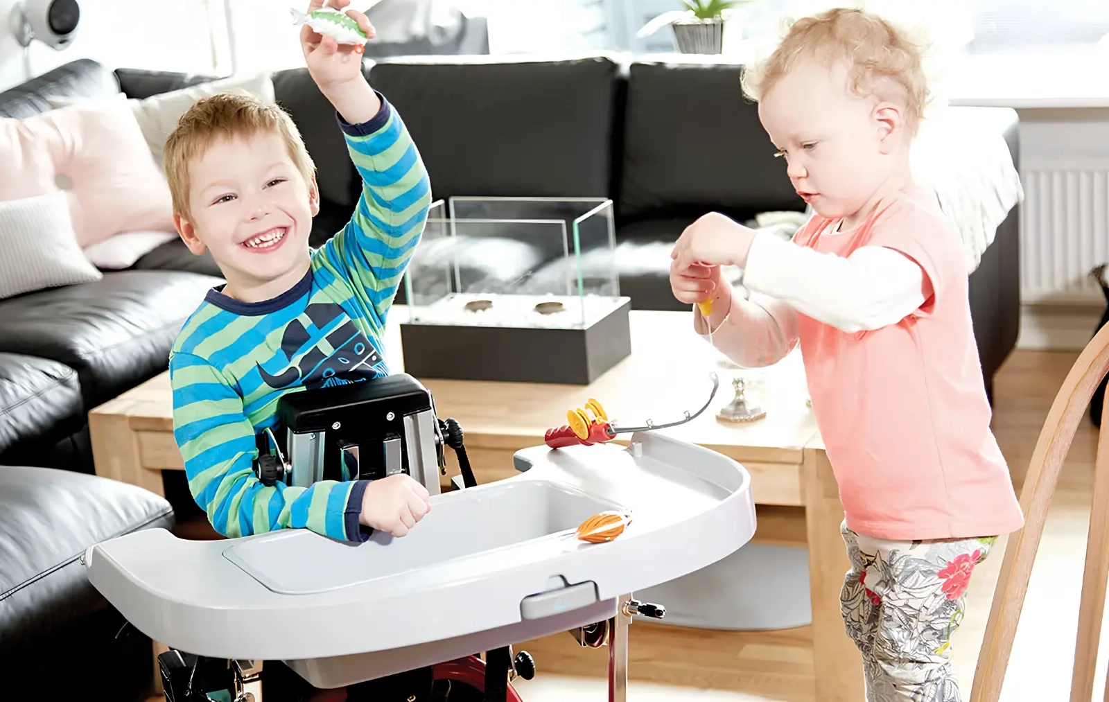 R82 Caribou background
