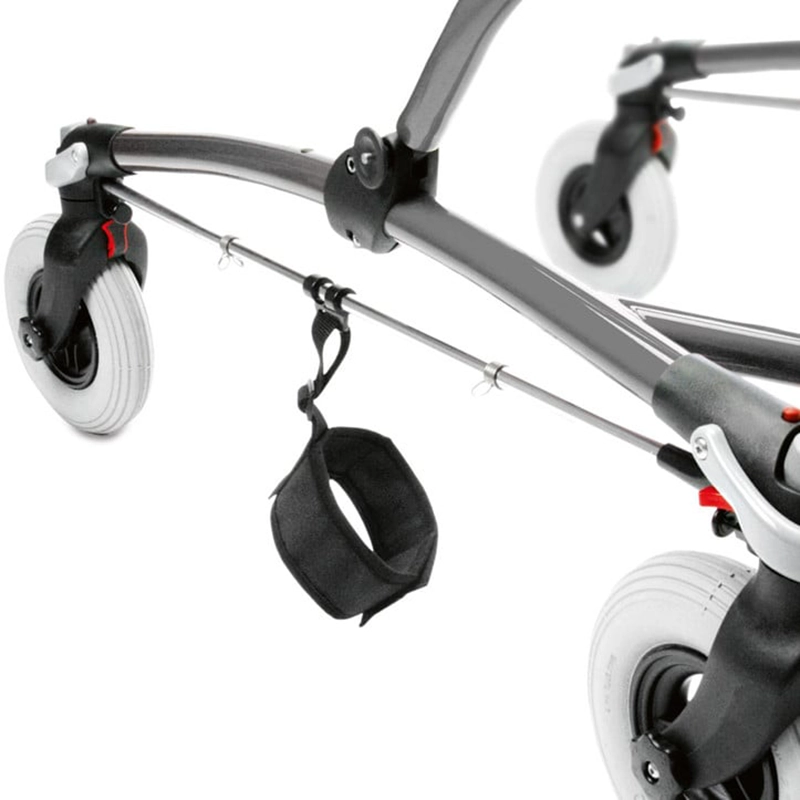 Χαρακτηριστικό 04 (Mustang | R82)