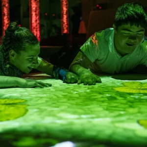 Magic Carpet Fish Pond Duo